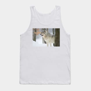 Gray Wolf Tank Top